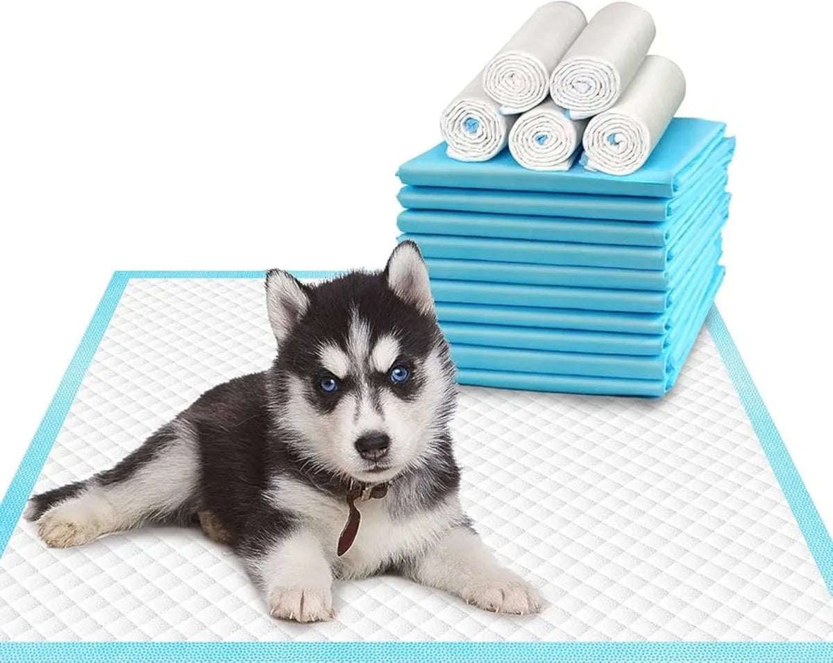 Super Absorbent Dog And Cat Training Pads And Diapers