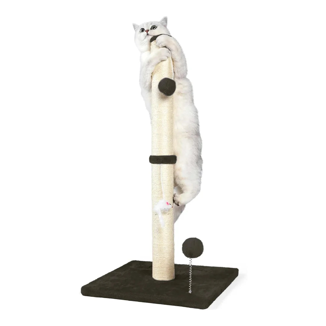 Guangdong Cat Scratching Posts Double Tier With Sisal Rope