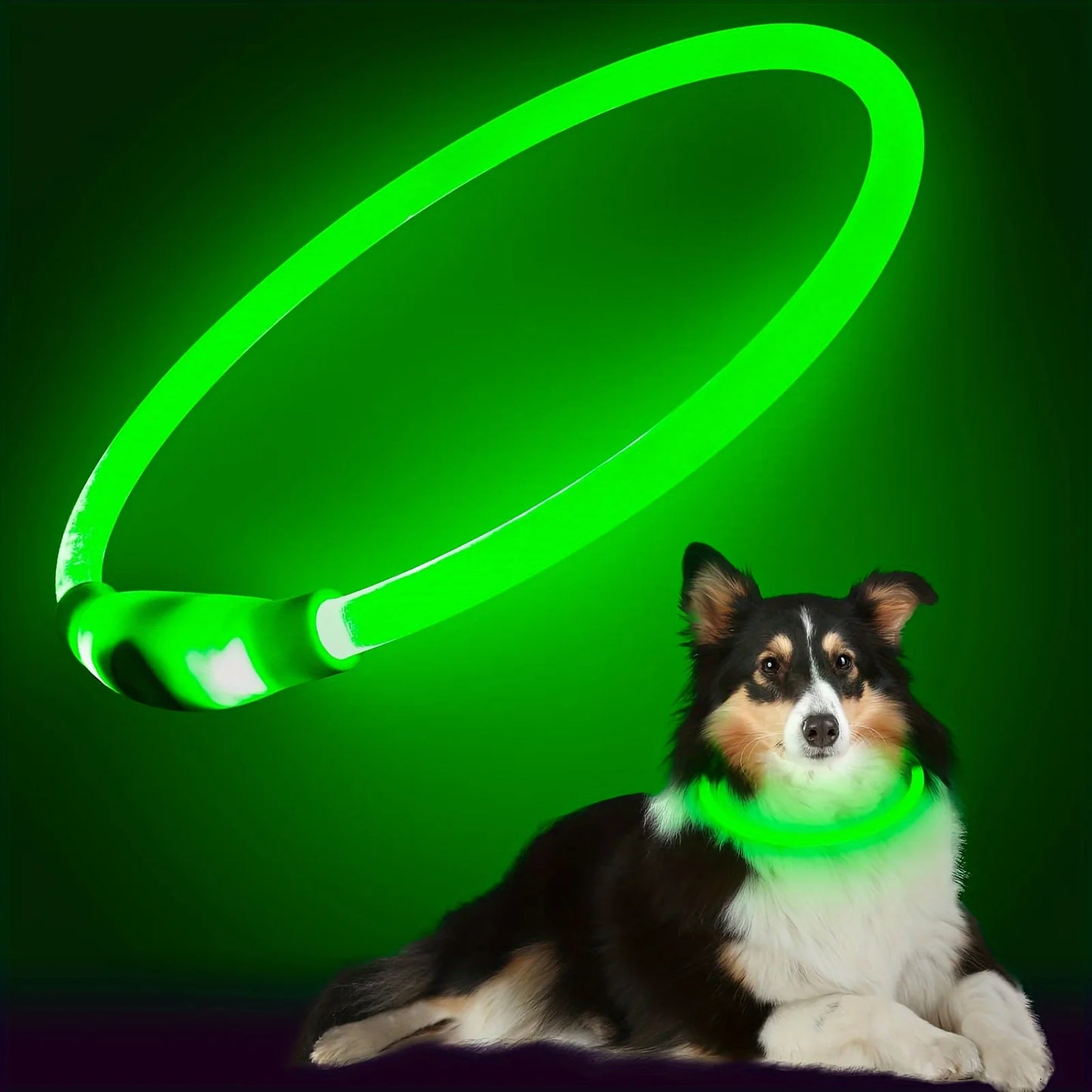 LED Light Dog Collar USB Rechargeable Luminous Anti Lost Necklace