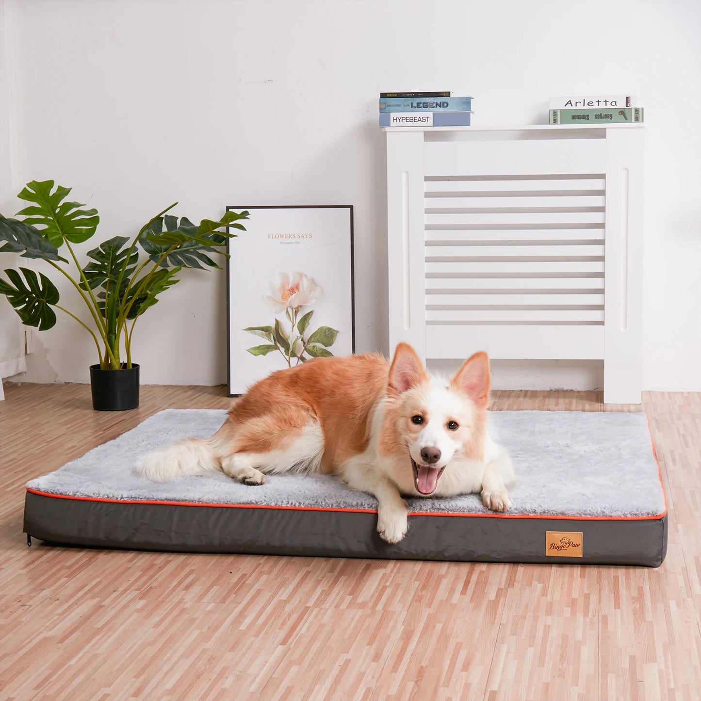 BINGOPAW Orthopedic Dog Bed With Memory Foam Waterproof Removable Cover