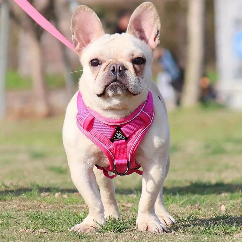 NONECN No Pull Dog Harness And Leash Set Reflective
