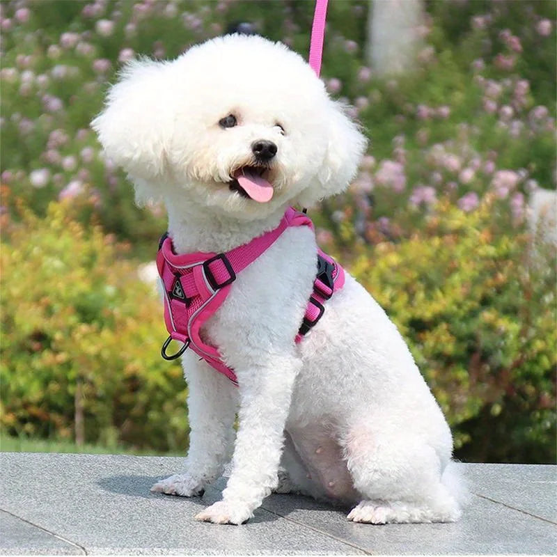 NONECN No Pull Dog Harness And Leash Set Reflective
