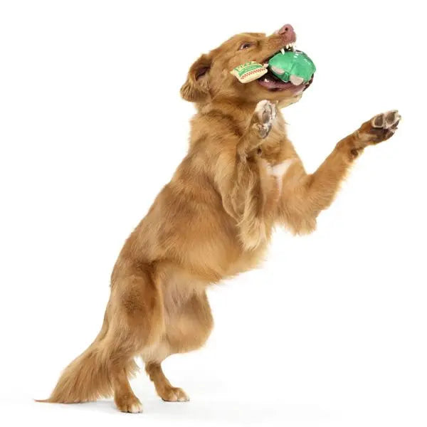 Hign-concerned Pizza Delivery Raccoon Plush Toy For Kids