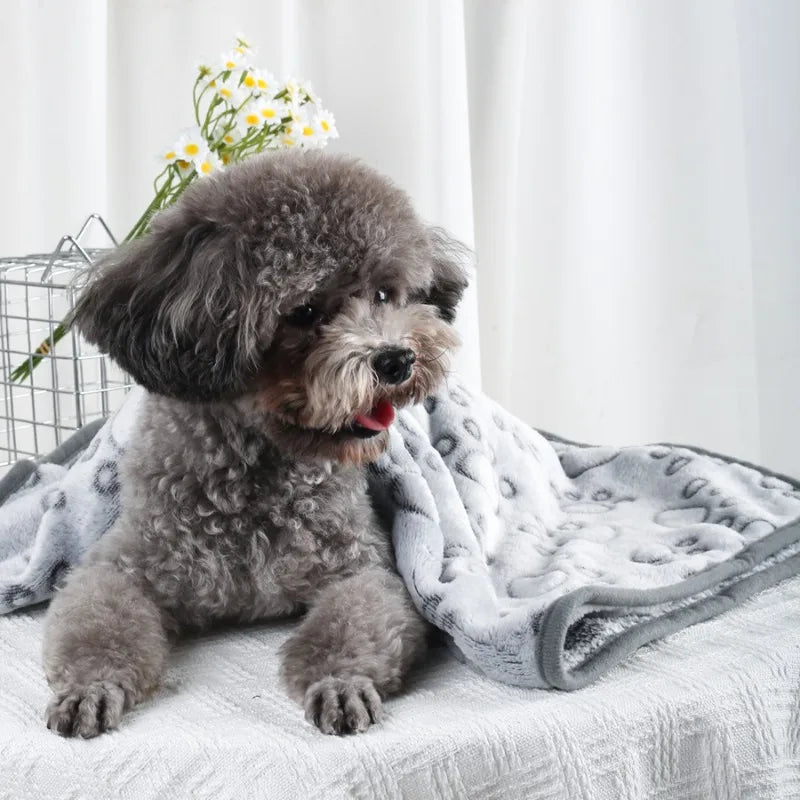 Soft Fluffy Pet Blanket Fleece Paw Print Mat for Dogs