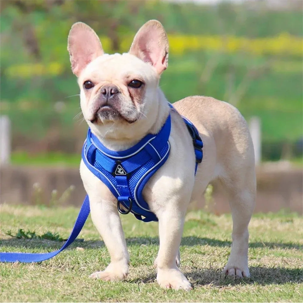 NONECN No Pull Dog Harness And Leash Set Reflective