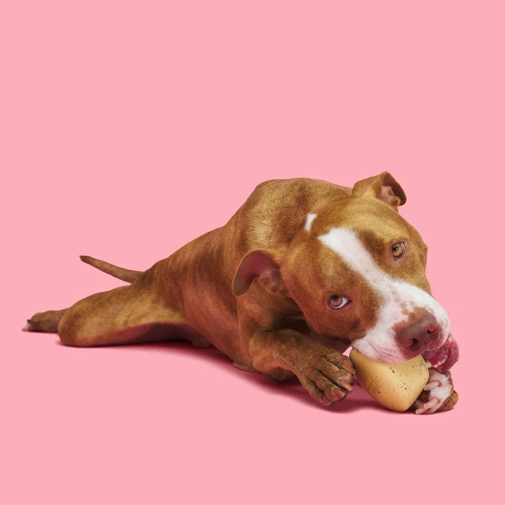 Hign-concerned Chemical Cinnamutt Roll Super Chewer Vanilla Toy