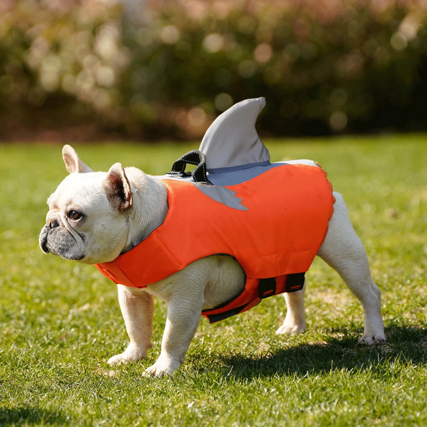 WANGUPET Reflective Dog Life Jacket High Buoyancy Rescue Handle Vest
