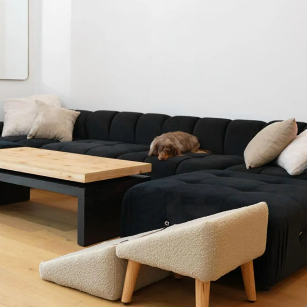 APWIKOGERH 2 In 1 Pet Ramp With Footrest Non Slip Foldable Dog Vehicle Stair