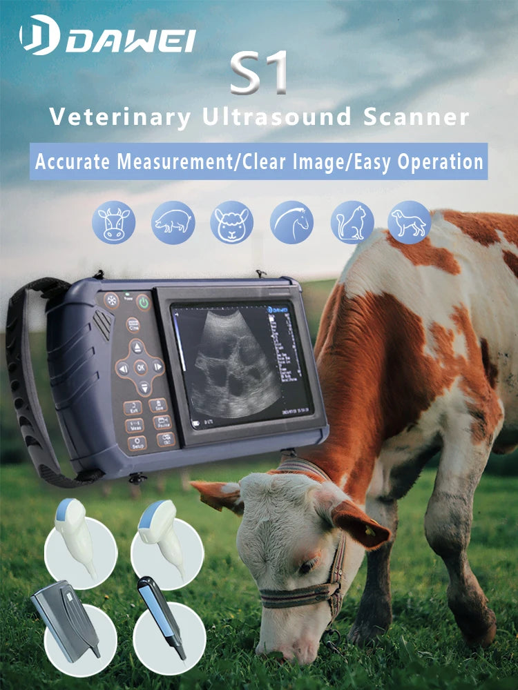 DAWEI Handheld Veterinary Ultrasound Scanner For Farm Animals Pregnancy Testing