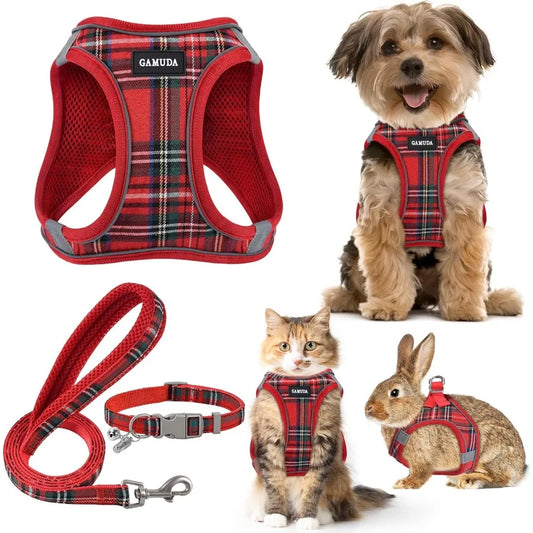Small Pet Harness And Leash Set With Adjustable Mesh Vest
