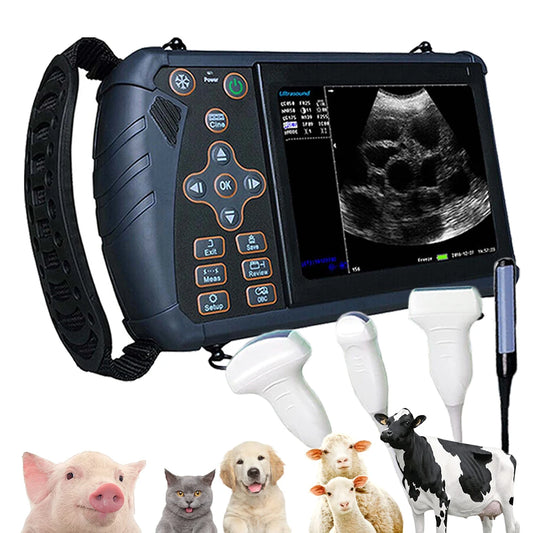 DAWEI Handheld Veterinary Ultrasound Scanner For Farm Animals Pregnancy Testing
