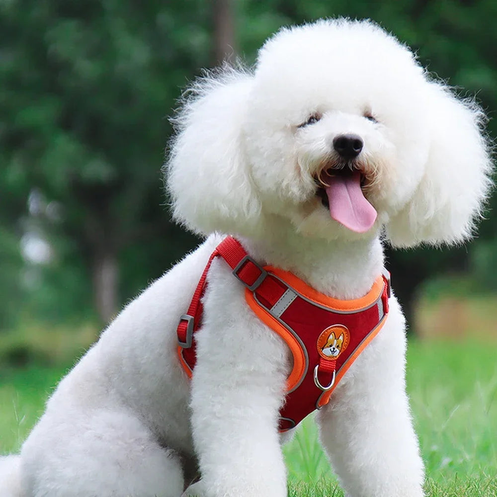 Adjustable Dog Harness And Leash Set Reflective For Pets Walking