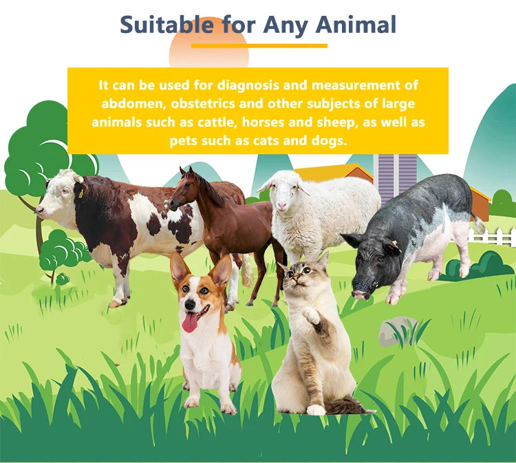 DAWEI Handheld Veterinary Ultrasound Scanner For Farm Animals Pregnancy Testing