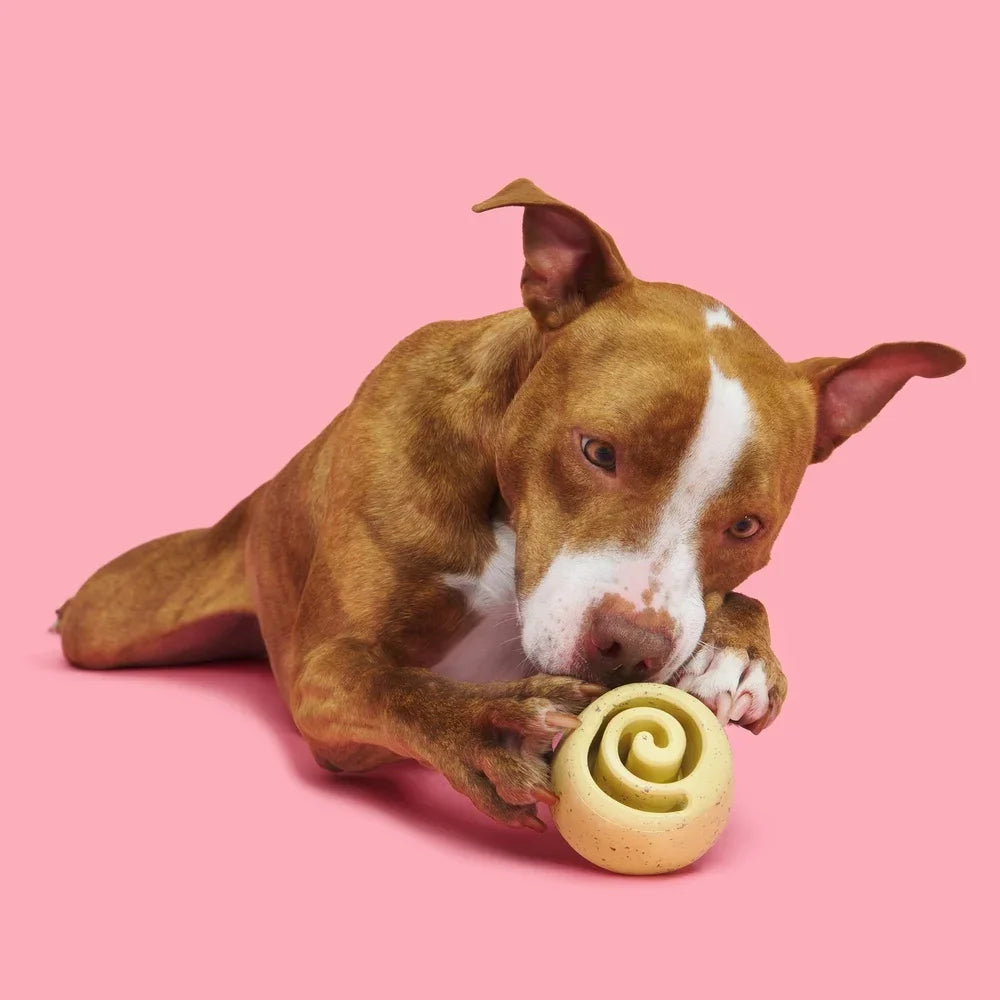 Hign-concerned Chemical Cinnamutt Roll Super Chewer Vanilla Toy