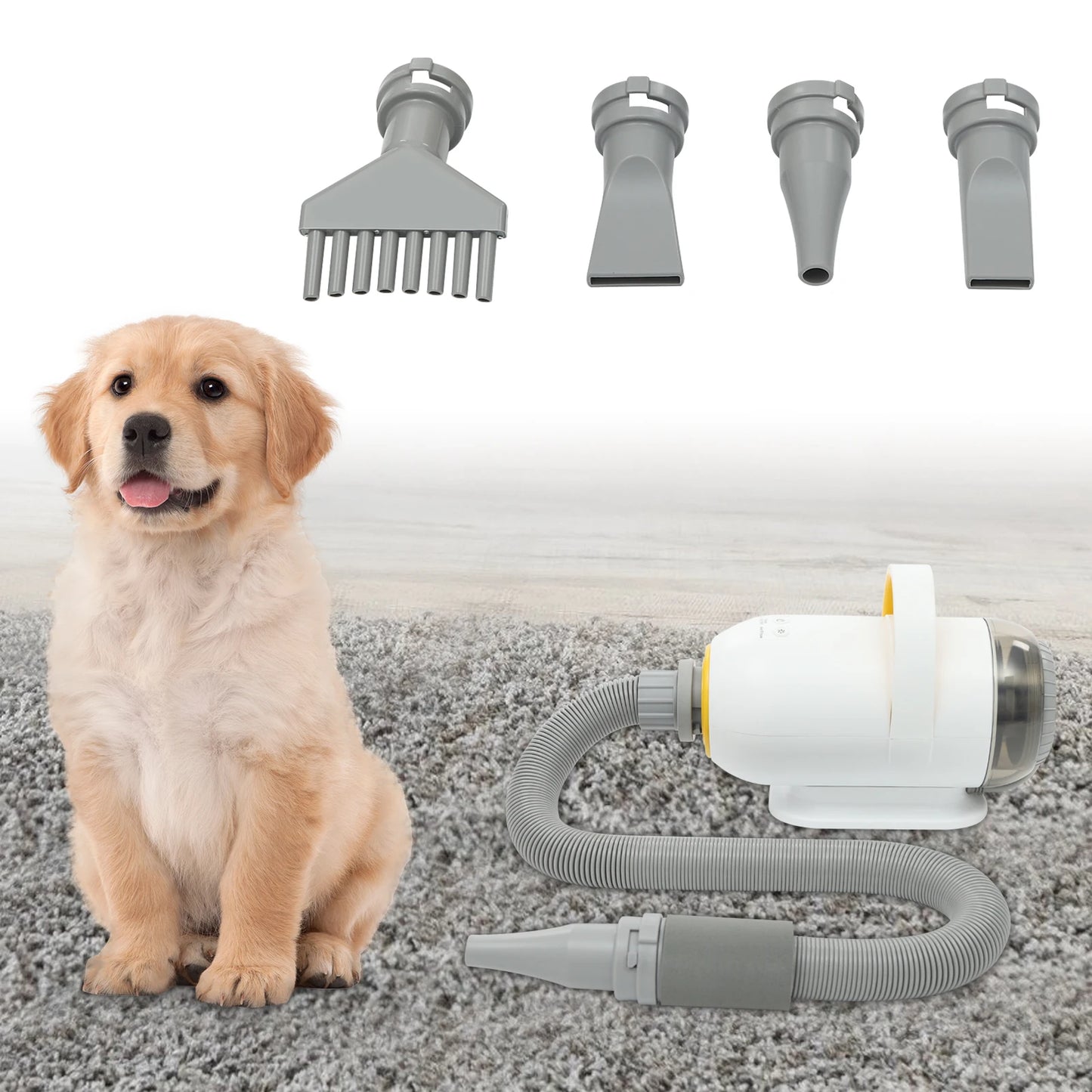 Automatic Pet Dryer Machine For Cats And Dogs Grooming