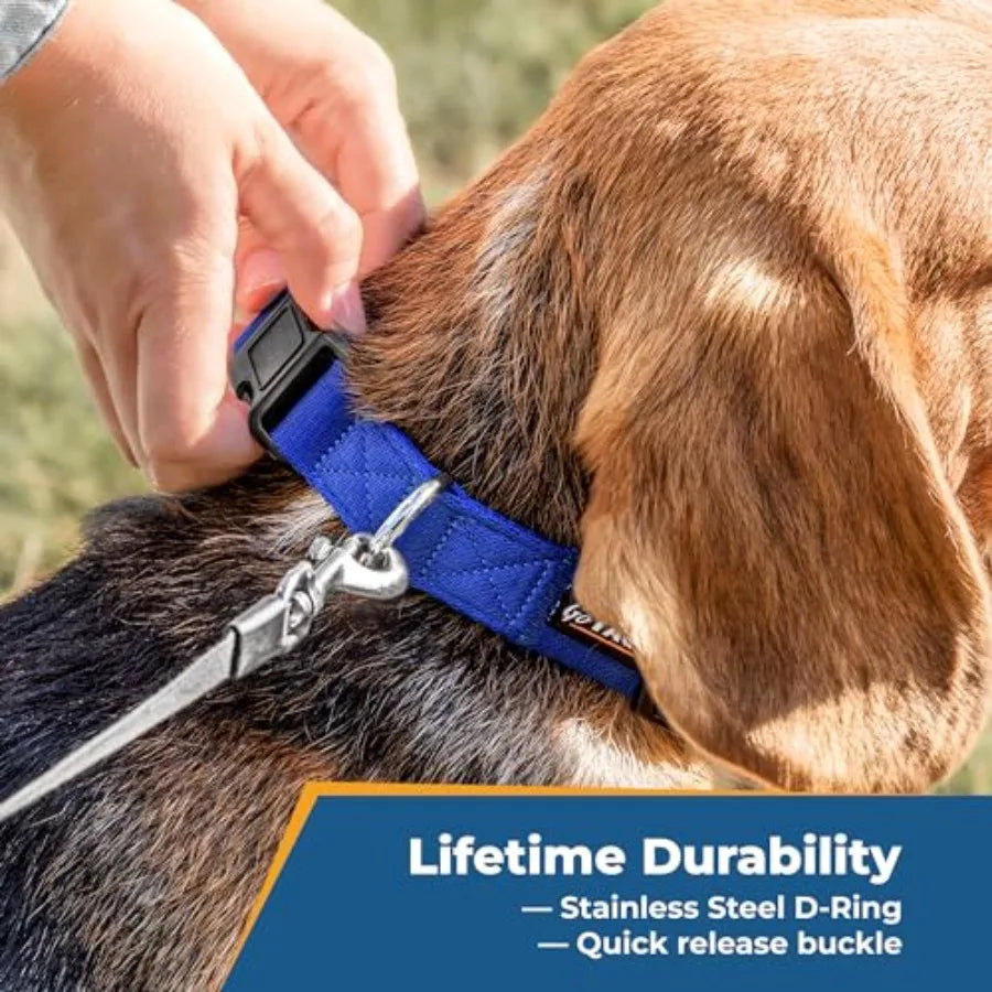 Personalized Dog Collar Embroidered With Pet Name And Phone Number