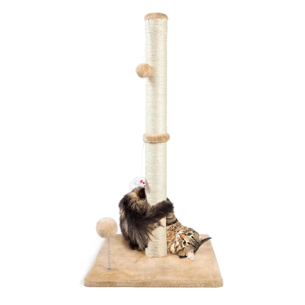Guangdong Cat Scratching Posts Double Tier With Sisal Rope