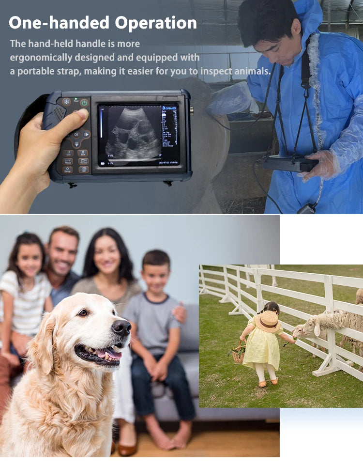DAWEI Handheld Veterinary Ultrasound Scanner For Farm Animals Pregnancy Testing