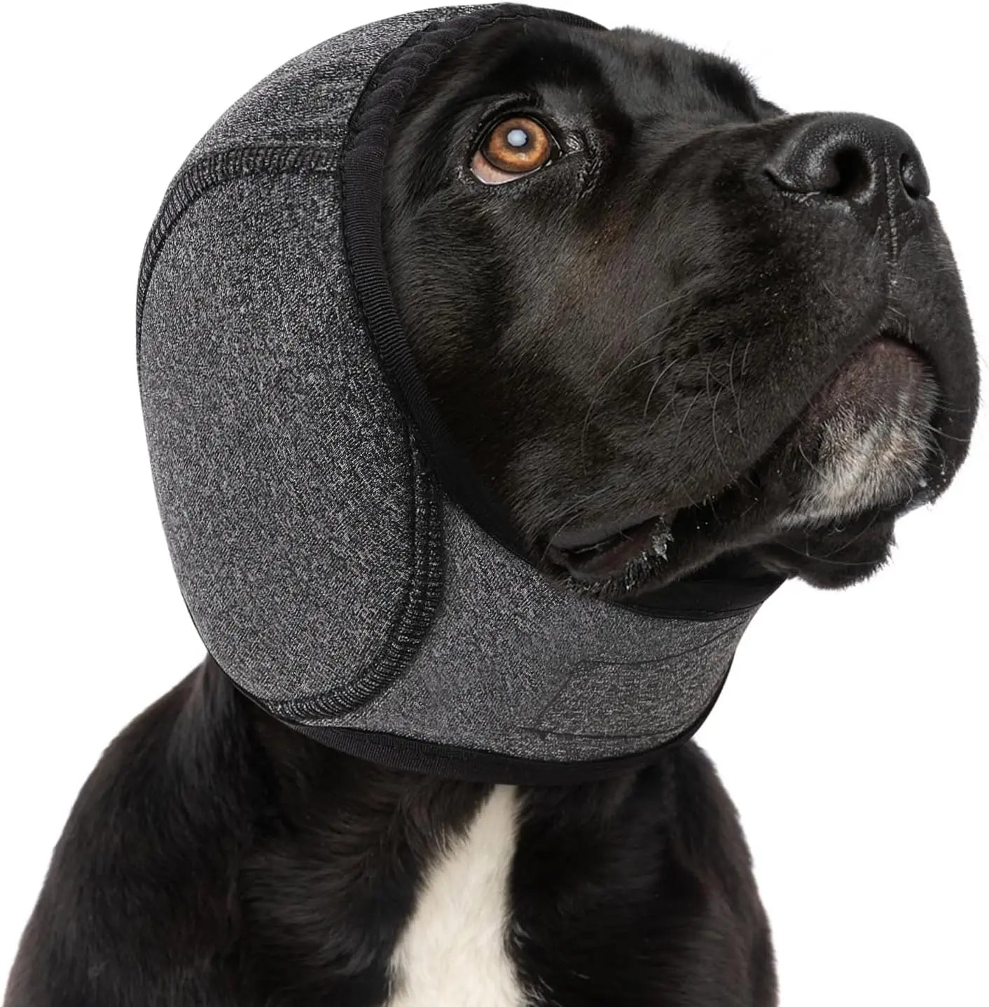 Dog Ear Muffs Anti Anxiety Noise Cancelling Hood For Grooming