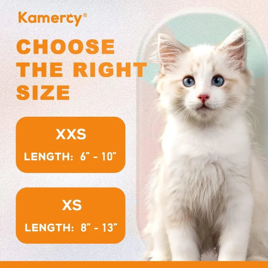 Hign-concerned Cat Collar With Sushi Charm Safety Breakaway