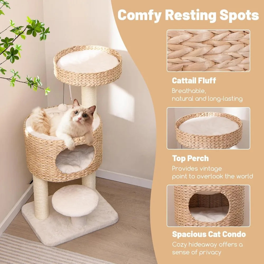 DAFIFY Double Tier Cat Tree With Cattail Fluff Condo And Top Perch