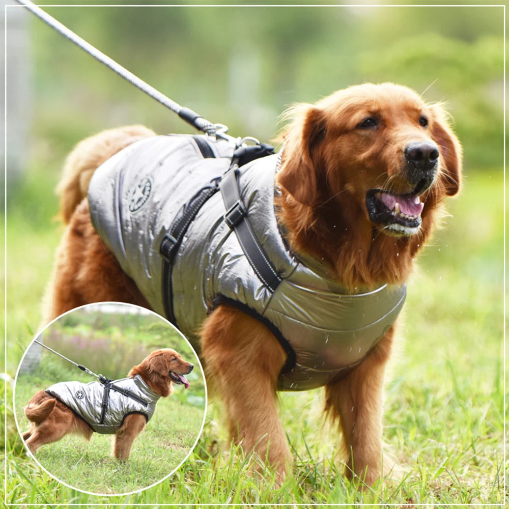 Winter Waterproof Dog Jacket With Harness For Labrador Chihuahua Outdoor