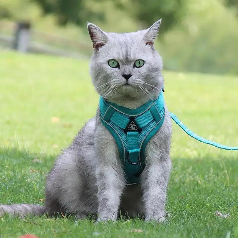 NONECN No Pull Dog Harness And Leash Set Reflective