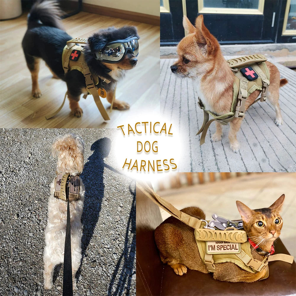 PETRAVELCN Tactical Puppy Harness Leash Set For Training And Walking