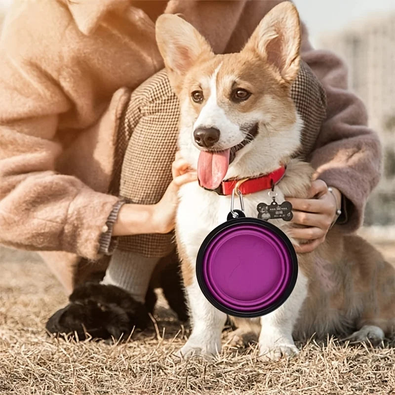 Portable Cat And Dog Food Bowl TPR Silicone Collapsible