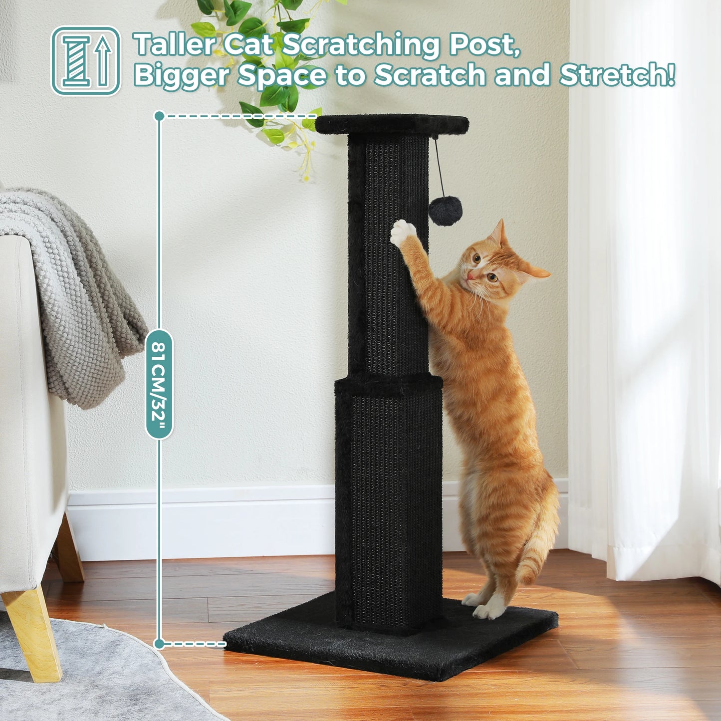 PAWZ Road Indoor Cat Scratching Post With Sisal Ball Toy