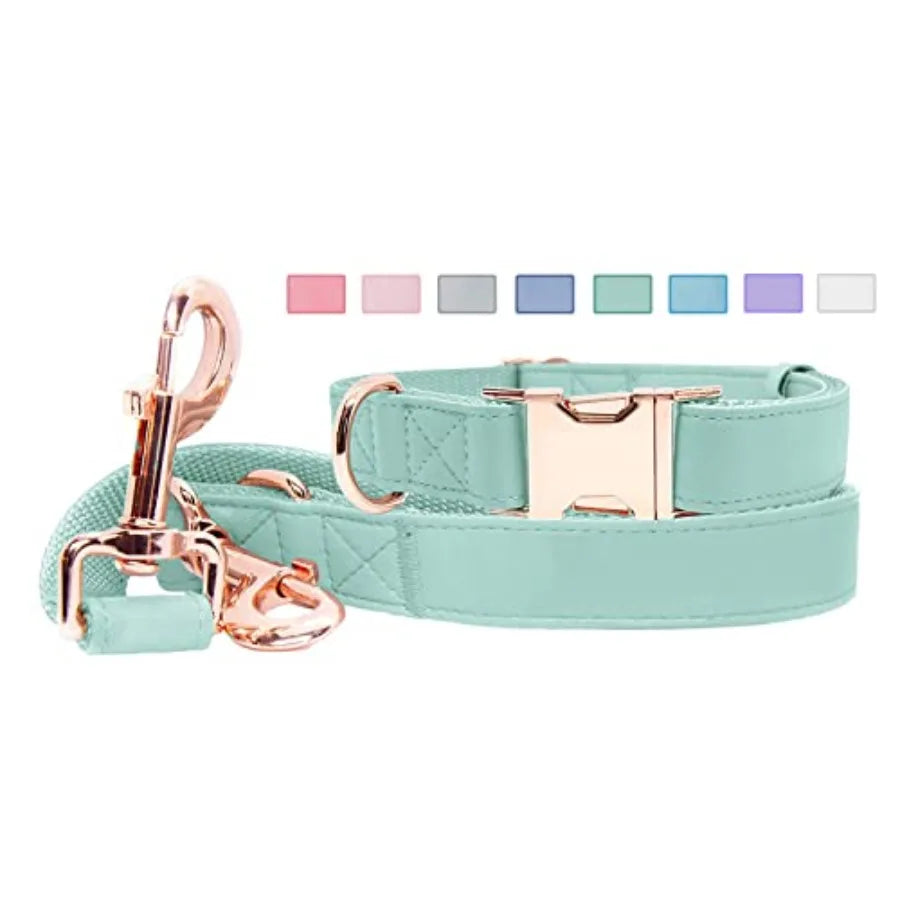 Soft Leather Dog Collar And Leash Set Metal Buckle