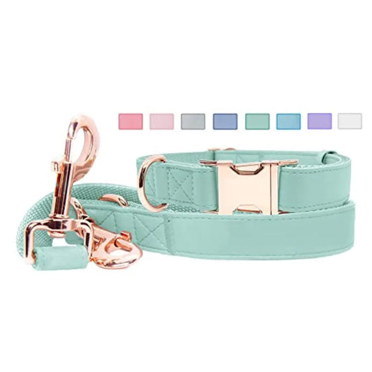 Soft Leather Dog Collar And Leash Set Metal Buckle