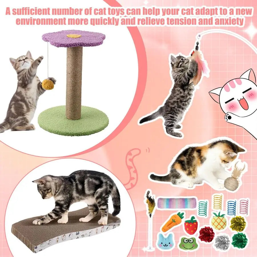 Kitten Starter Kit Indoor Cats With Toys Litter Box Hammock