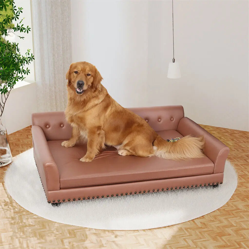 BINGOPAW Luxury Raised Dog Sofa Bed