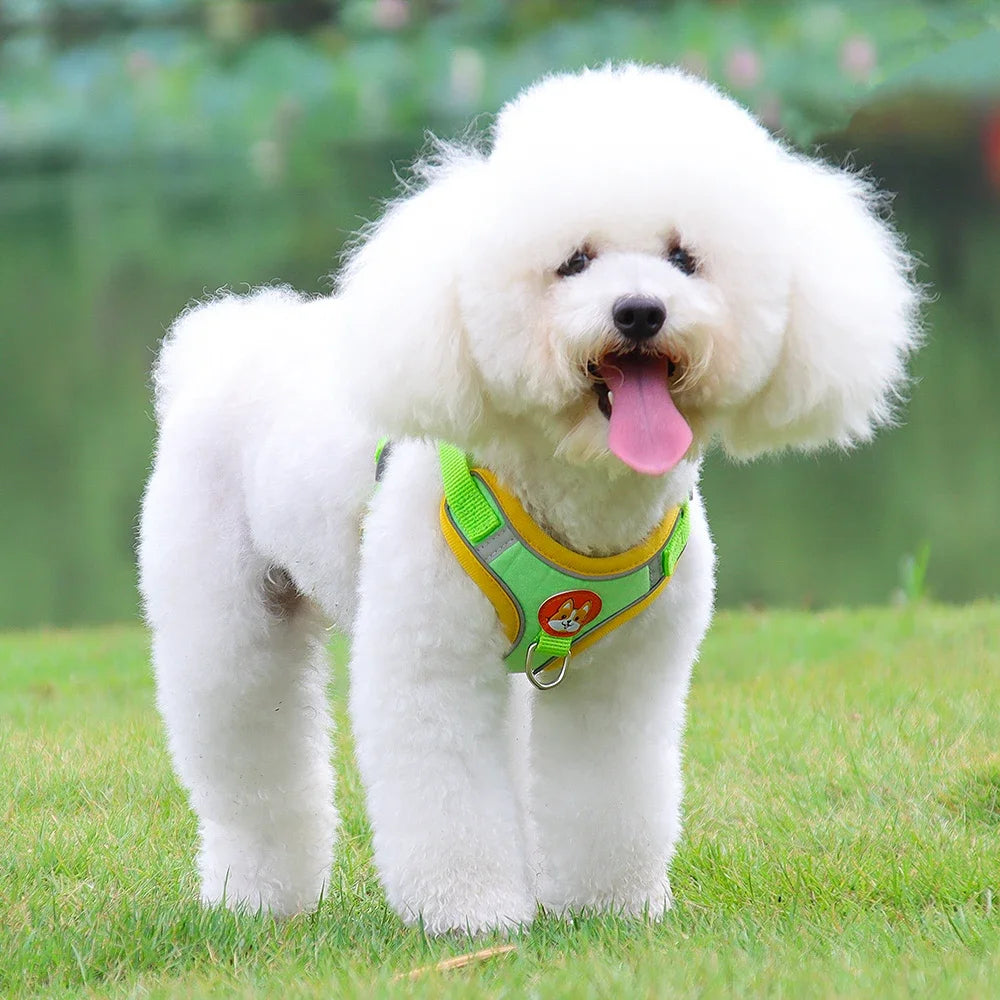 Adjustable Dog Harness And Leash Set Reflective For Pets Walking