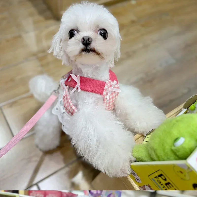 YTYINCN Strawberry Lace Dog Harness Leash Set Vest