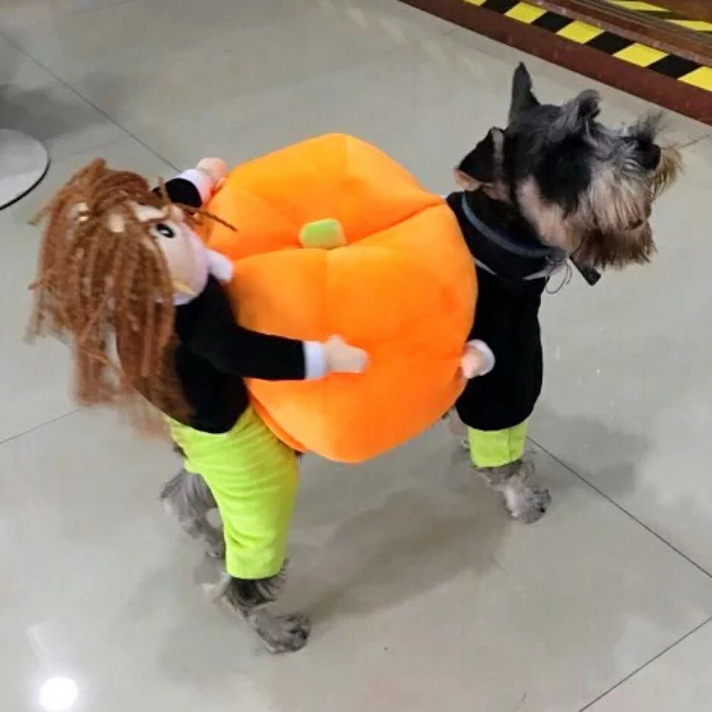 Guangdong Funny Pet Cosplay Dog Leotard Costume for Halloween
