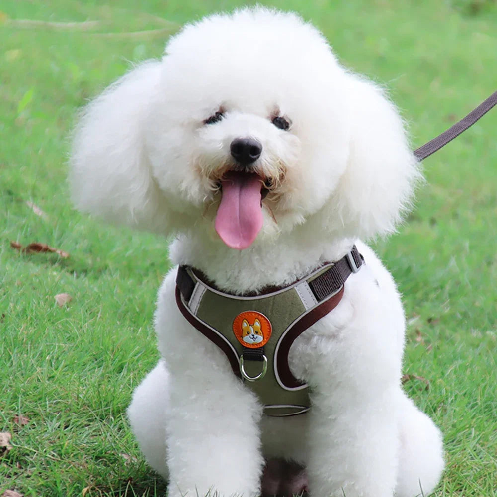 Adjustable Dog Harness And Leash Set Reflective For Pets Walking