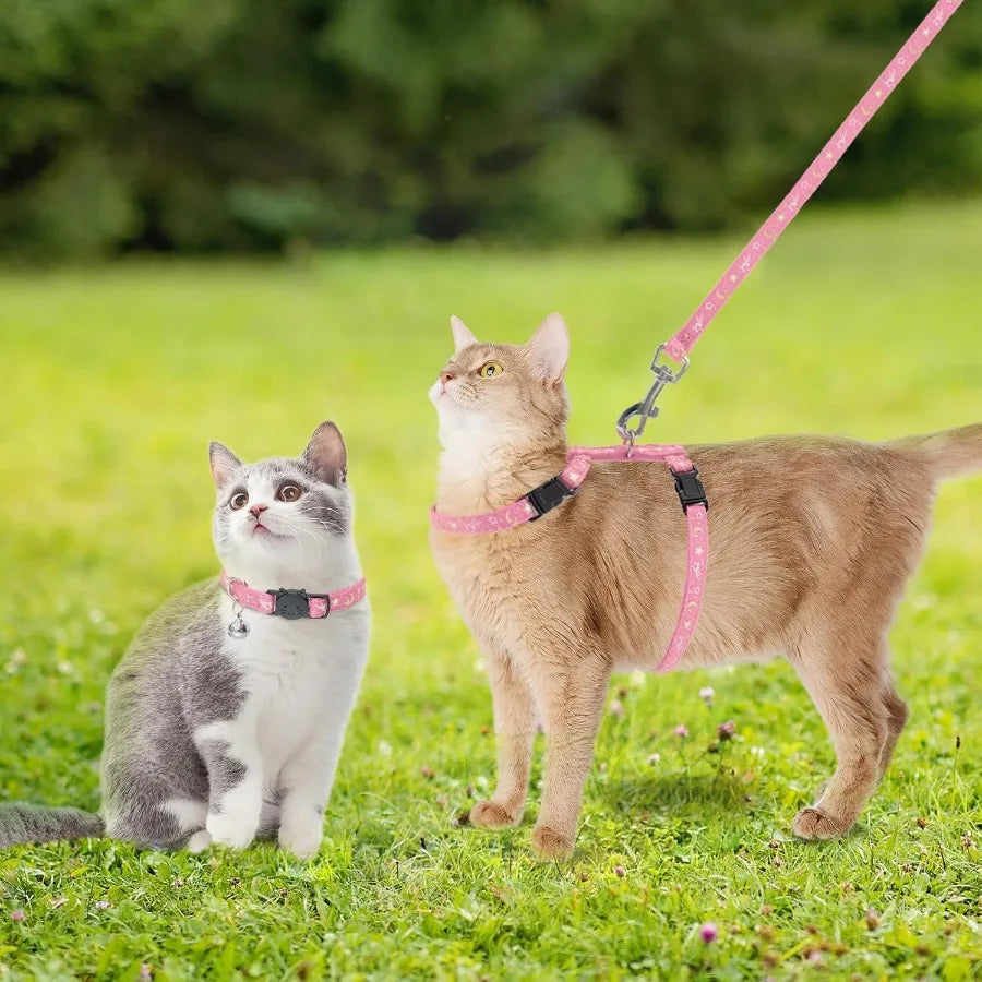 Escape Proof Adjustable HShaped Cat Harness With Leash Set