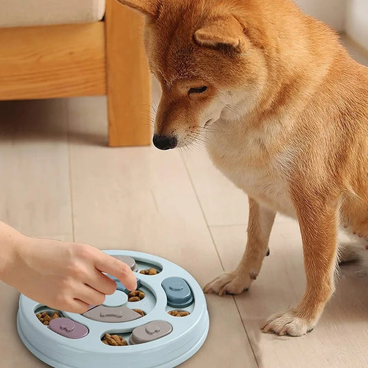 Dog Food Hiding Bowl Slow Feeder Educational Interactive Feeding Toy