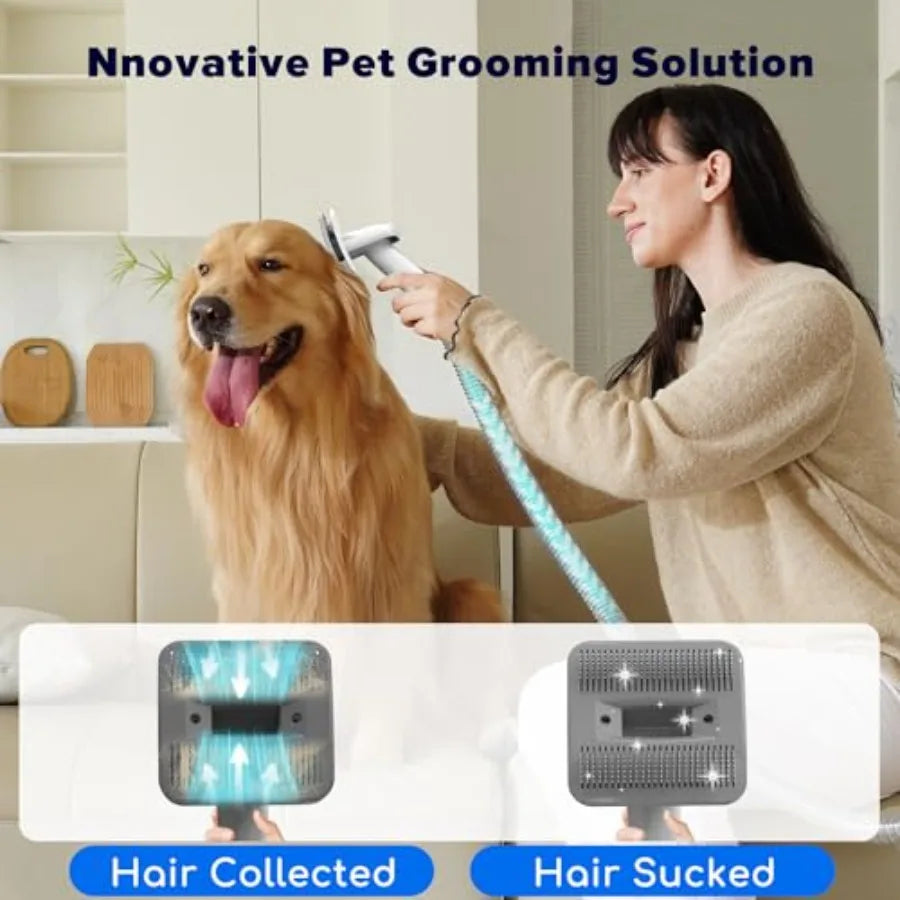 MDNG Dog Grooming Kit with 15000 Pa Vacuum Stainless Tools