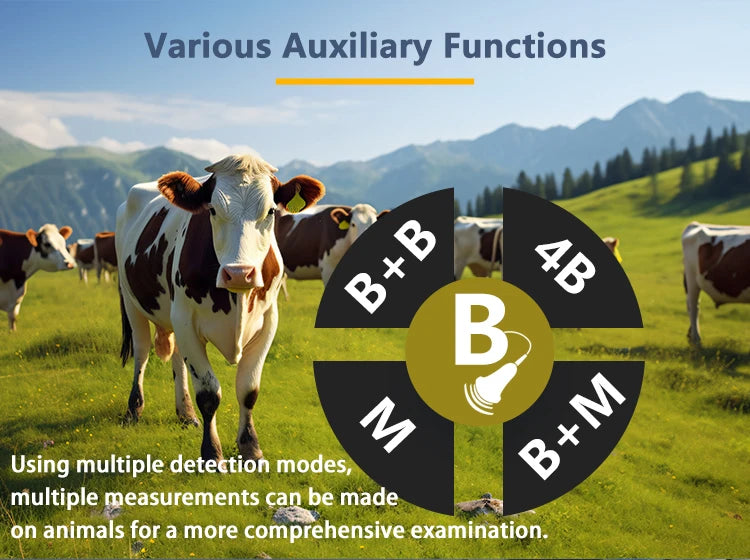DAWEI Handheld Veterinary Ultrasound Scanner For Farm Animals Pregnancy Testing