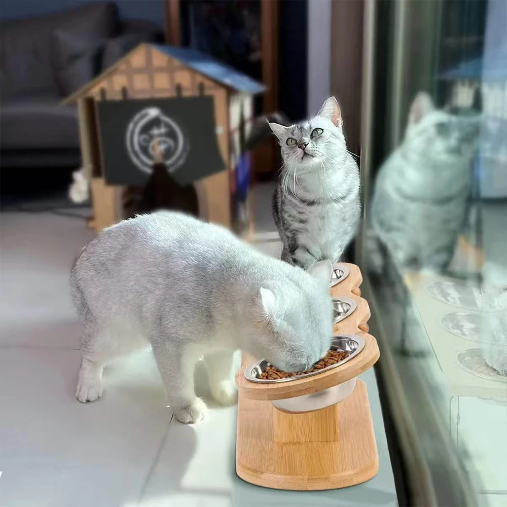 PETRAVEL Cat 3 Bowls in 1 Feeder Tilted Raised Bowls