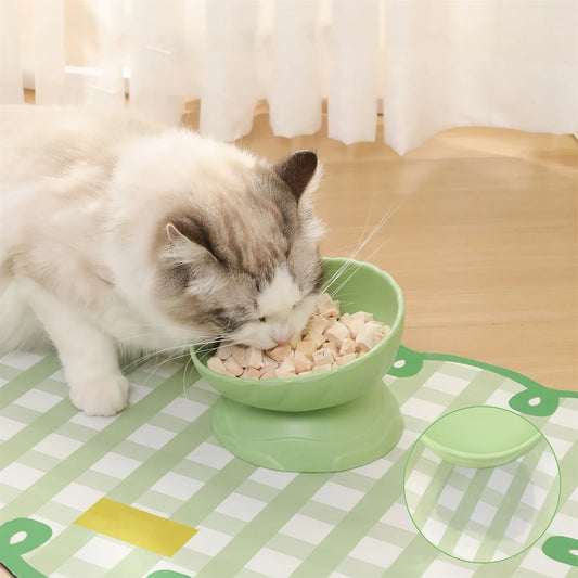 Raised Pet Food Bowls Tilted 15 Degree For Easy Feeding