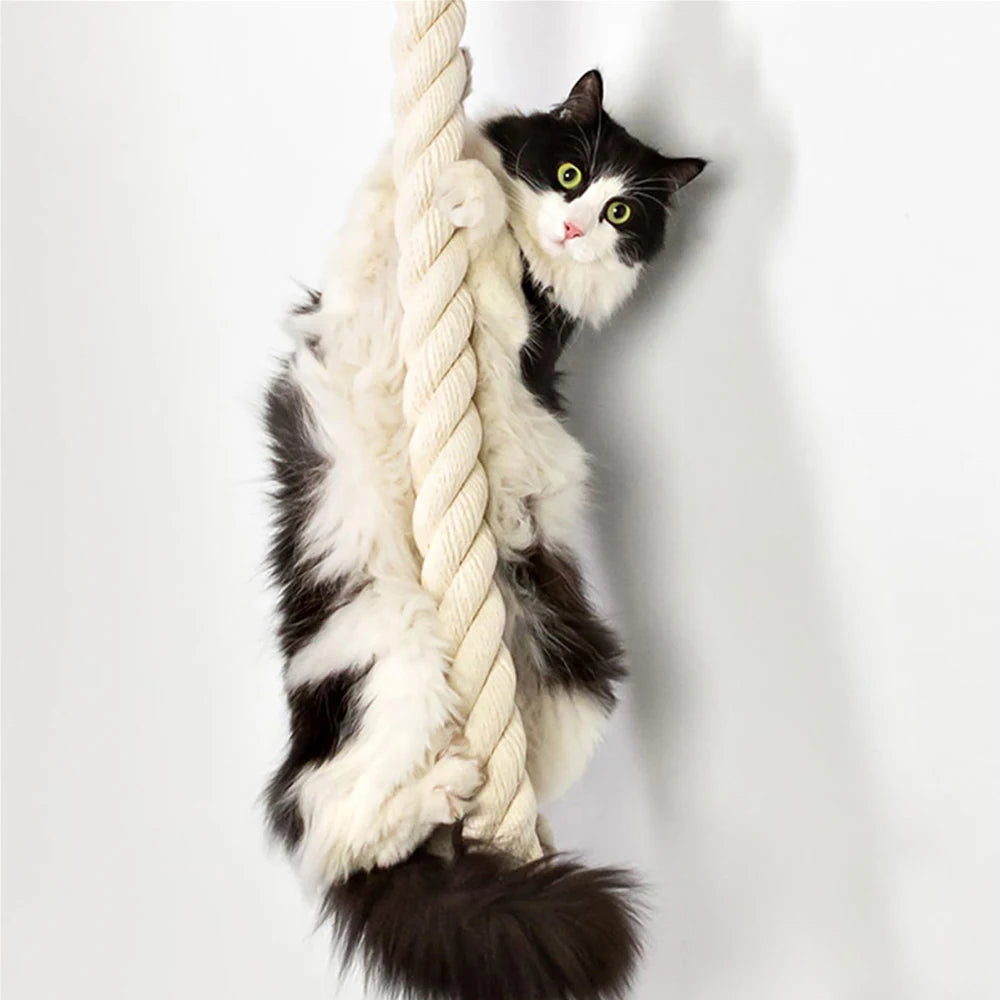 PETRAVELCN Cat Climbing Shelf And Rope Tree Mounted Scratching Post
