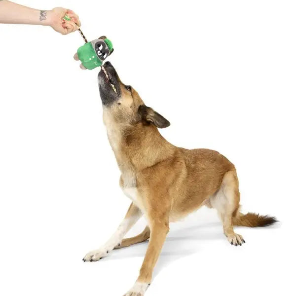 Hign-concerned Pizza Delivery Raccoon Plush Toy For Kids