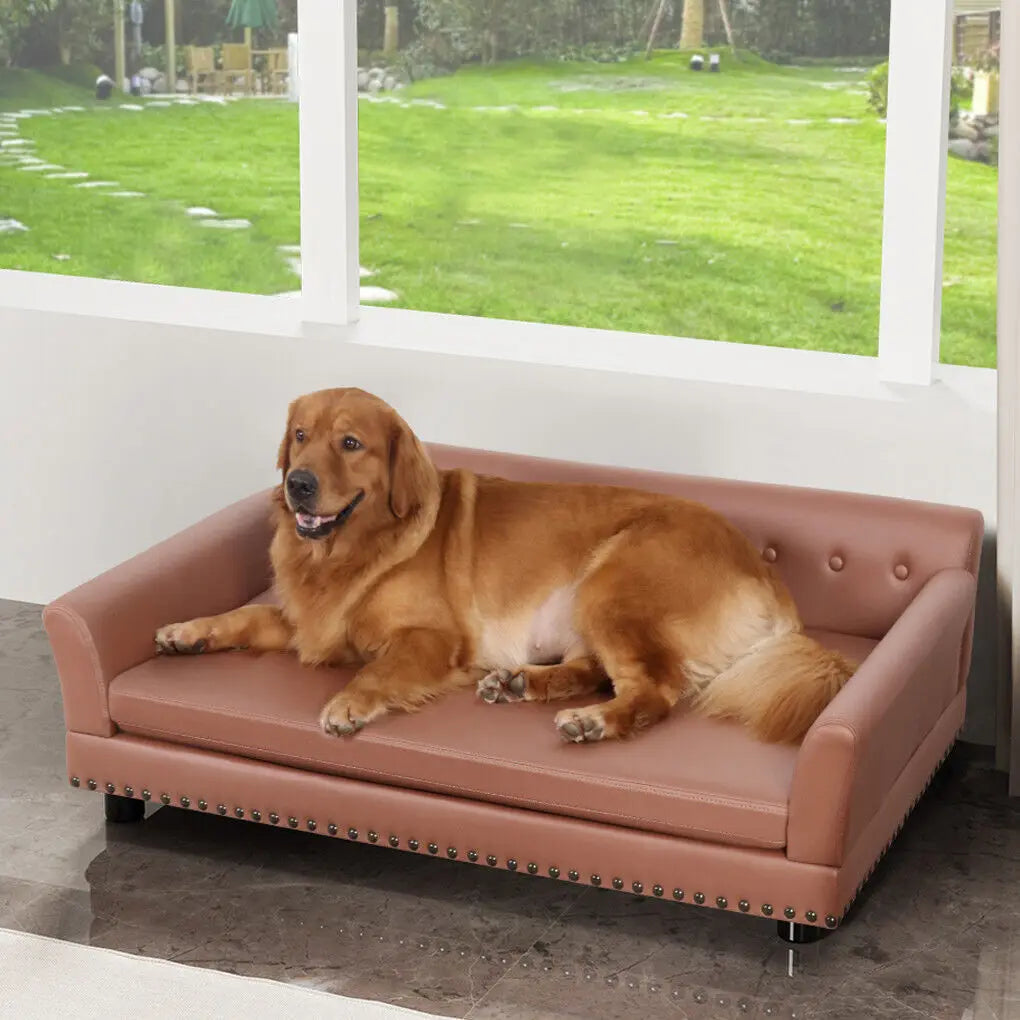 BINGOPAW Luxury Raised Dog Sofa Bed