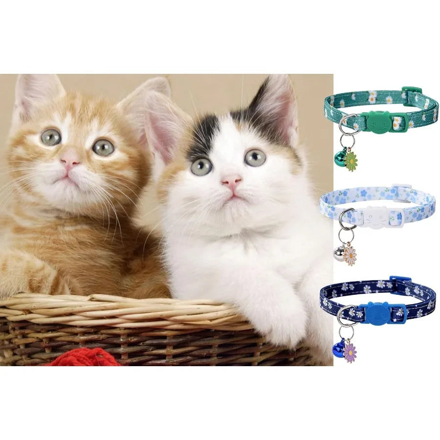 Hign-concerned Floral Cat Collar Set With Breakaway Safety