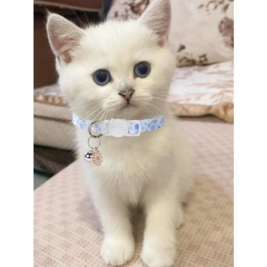 Hign-concerned Floral Cat Collar Set With Breakaway Safety
