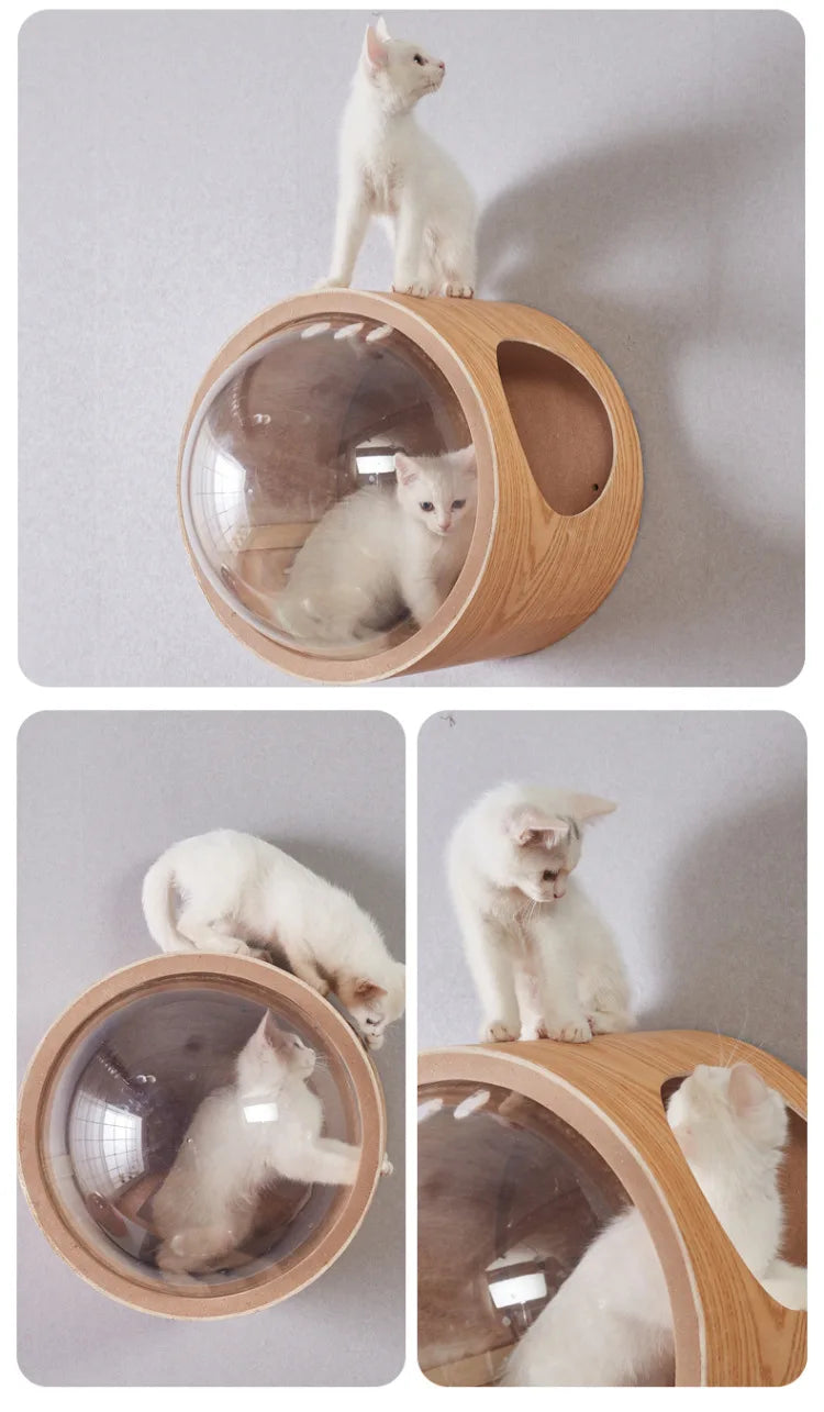 Smvp Cat Space Transparent Capsule Nest Bed For Climbing Cats Wooden